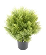 Kunstküpress (juniperus vj) ümmargune 45