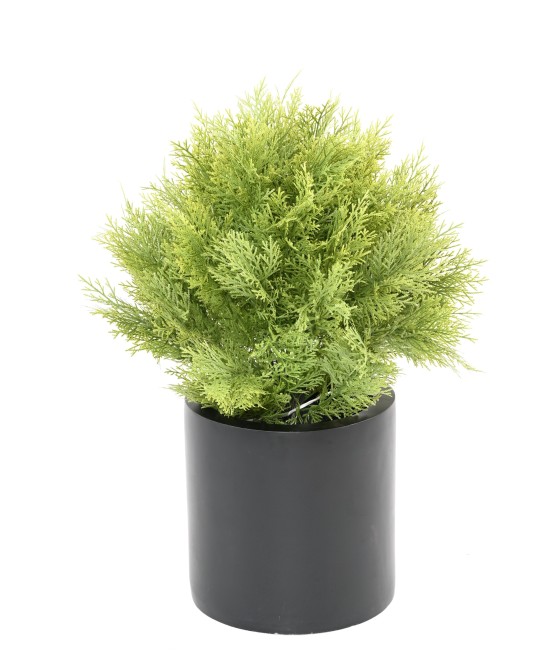 Kunstküpress (juniperus vj) ümmargune 45