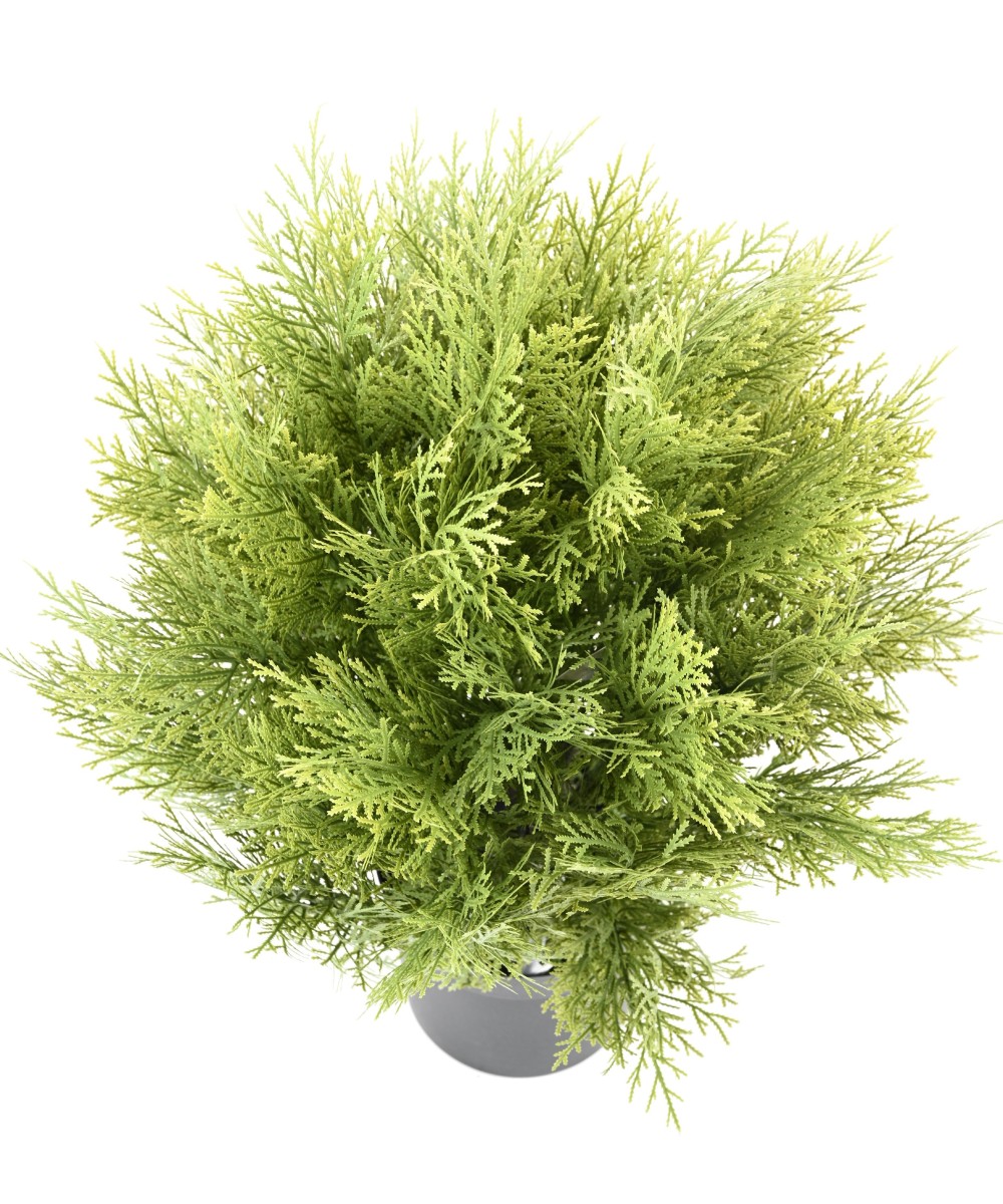 Kunstküpress (juniperus vj) ümmargune 45