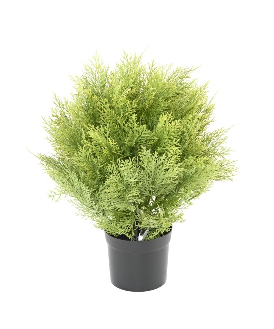 Kunstküpress (juniperus vj) ümmargune 45