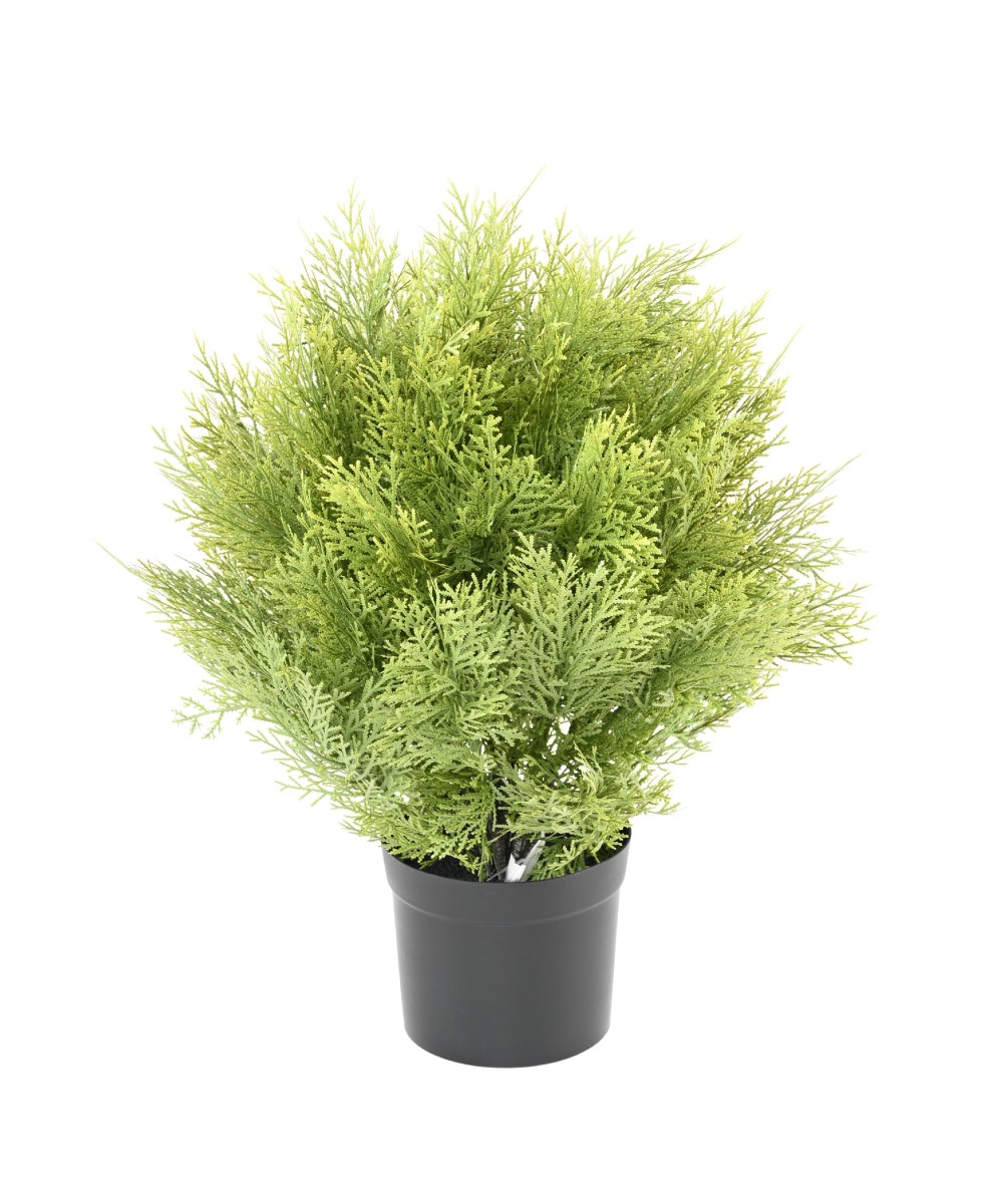 Kunstküpress (juniperus vj) ümmargune 45