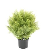 Kunstküpress (juniperus vj) ümmargune 45