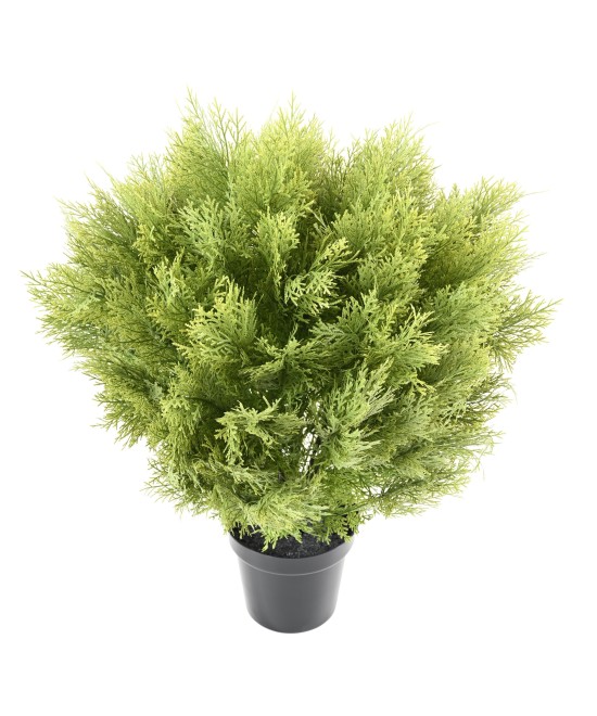 Kunstküpress (juniperus vj) ümmargune 65