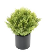 Artificial Cypress (juniperus vj) round 65