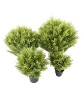 Kunstküpress (juniperus vj) ümmargune 65