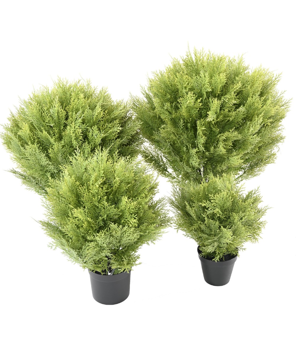 Kunstküpress (juniperus vj) ümmargune 80