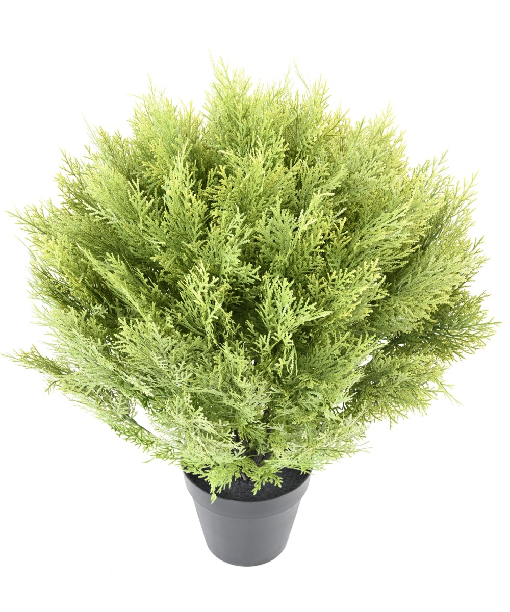 Kunstküpress (juniperus vj) ümmargune 80