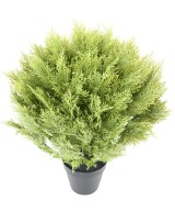 Kunstküpress (juniperus vj) ümmargune 80