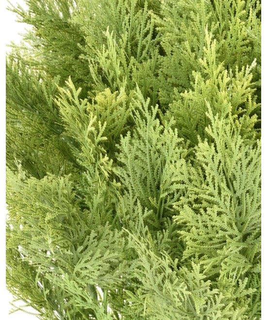 Kunstküpress (juniperus vj) ümmargune 80
