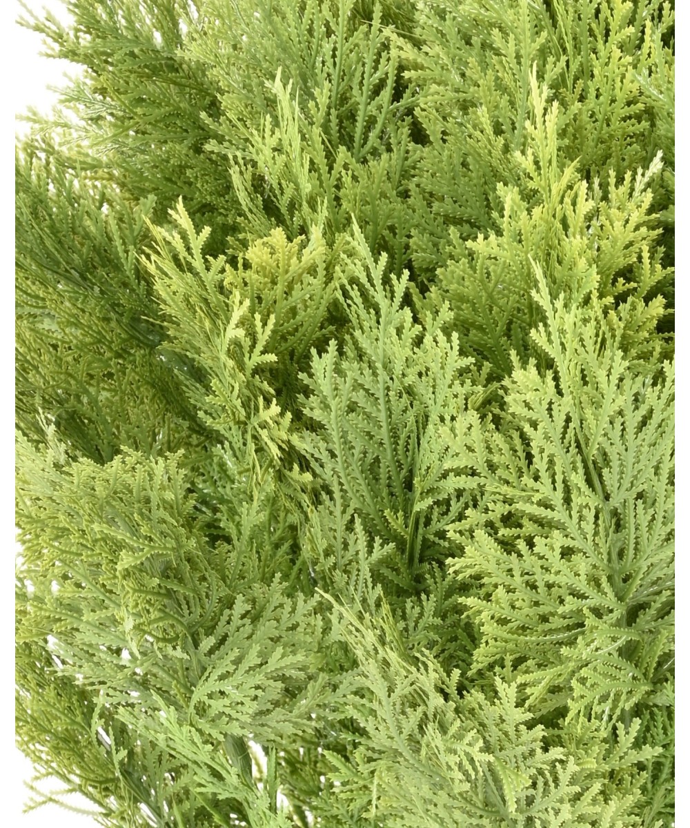Kunstküpress (juniperus vj) ümmargune 80