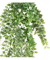 Artificial flowering Dischidia