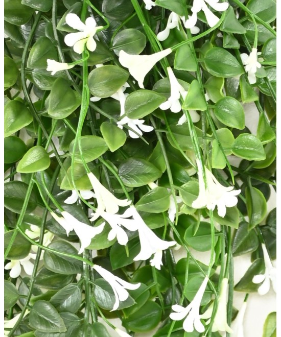 Artificial flowering Dischidia