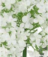 Artificial HYDRANGEA