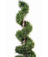 Artificial boxwood SPIRAL NEW