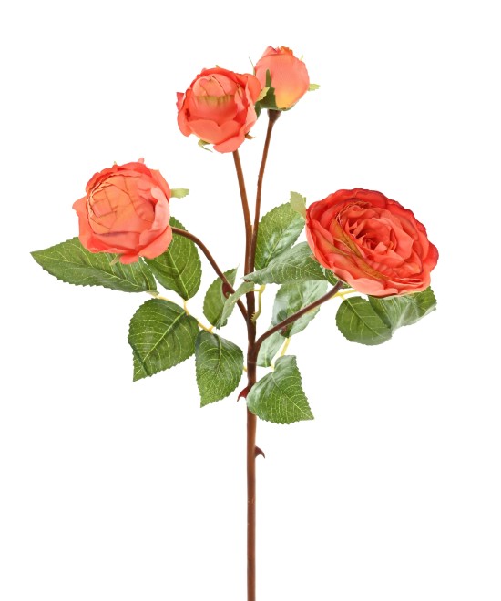 Artificial ROSE 60