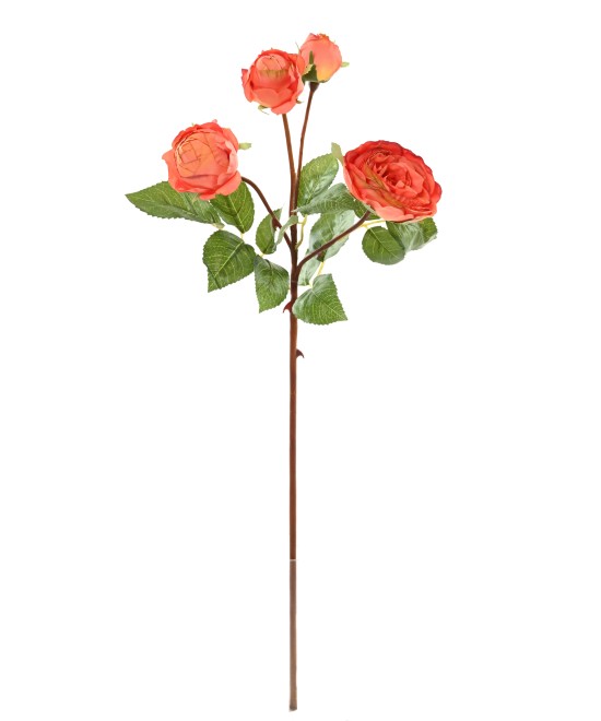 Artificial ROSE 60