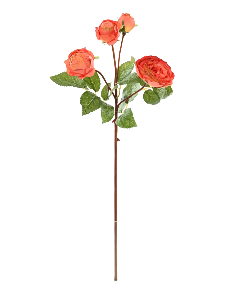 Artificial ROSE 60