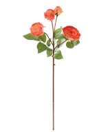 Artificial ROSE 60