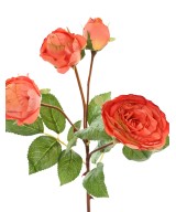 Artificial ROSE 60
