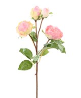 Artificial ROSE 60