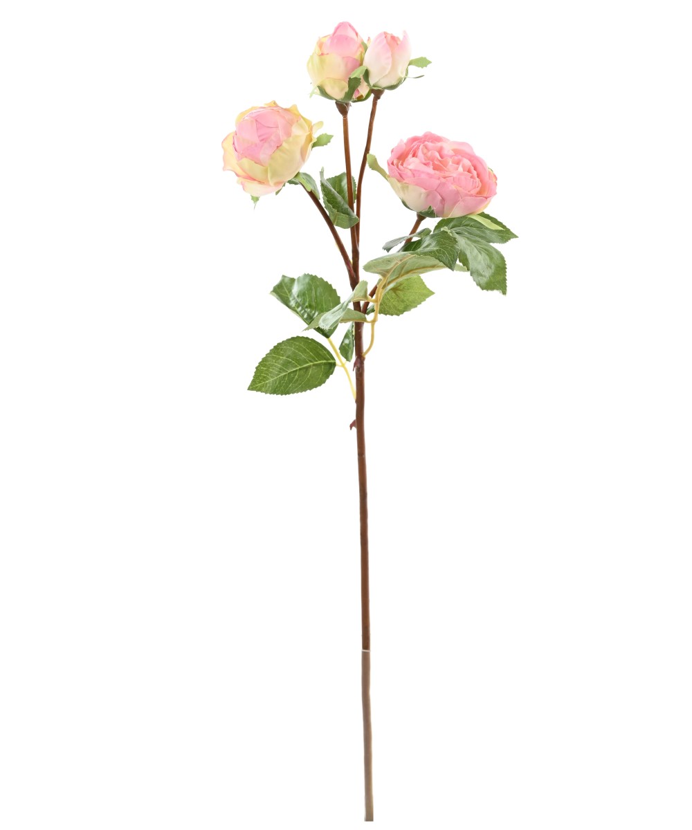 Artificial ROSE 60