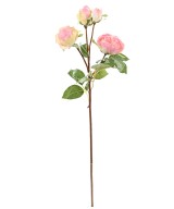 Artificial ROSE 60