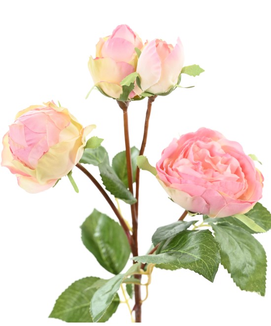 Artificial ROSE 60
