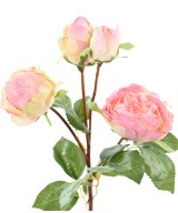 Artificial ROSE 60