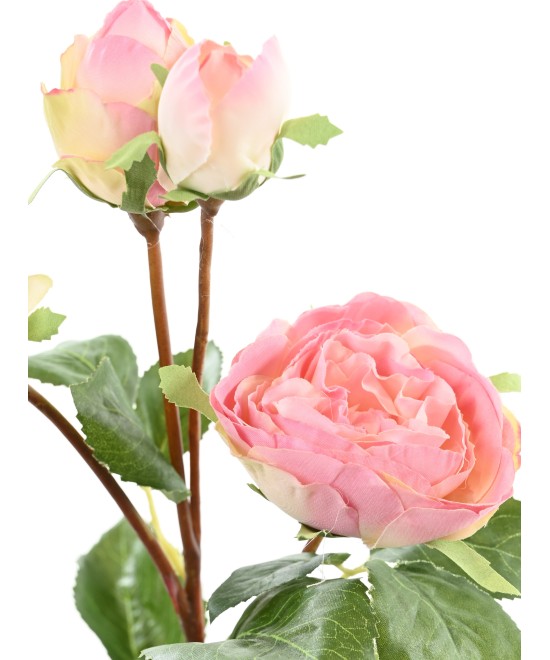 Artificial ROSE 60