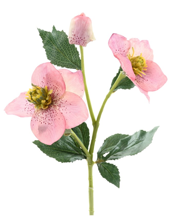 Kunstlik helleborus
