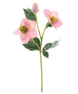 Kunstlik helleborus