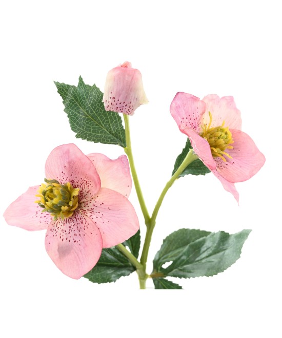 Kunstlik helleborus