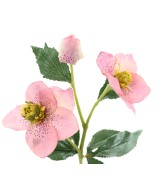 Kunstlik helleborus