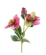 Kunstlik helleborus