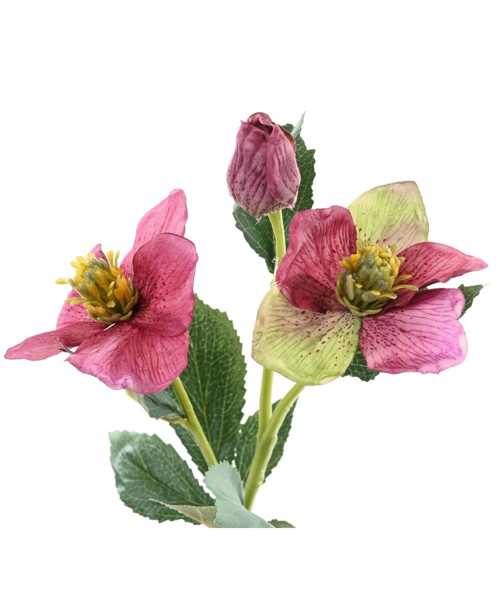 Kunstlik helleborus