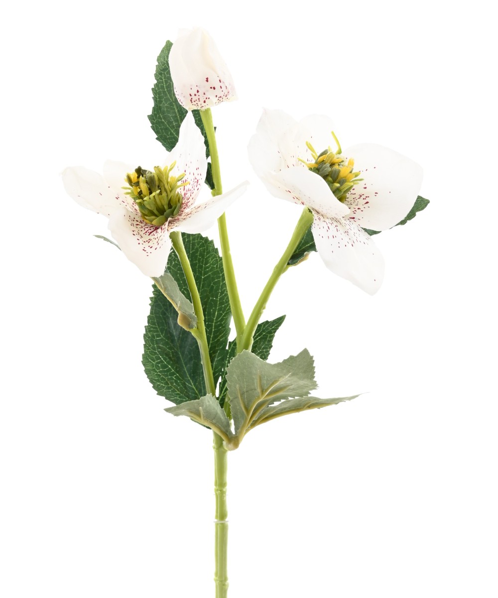 Kunstlik helleborus