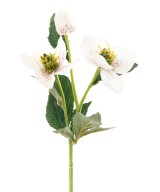 Kunstlik helleborus