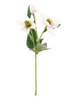 Kunstlik helleborus