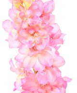 Artificial Delphinium