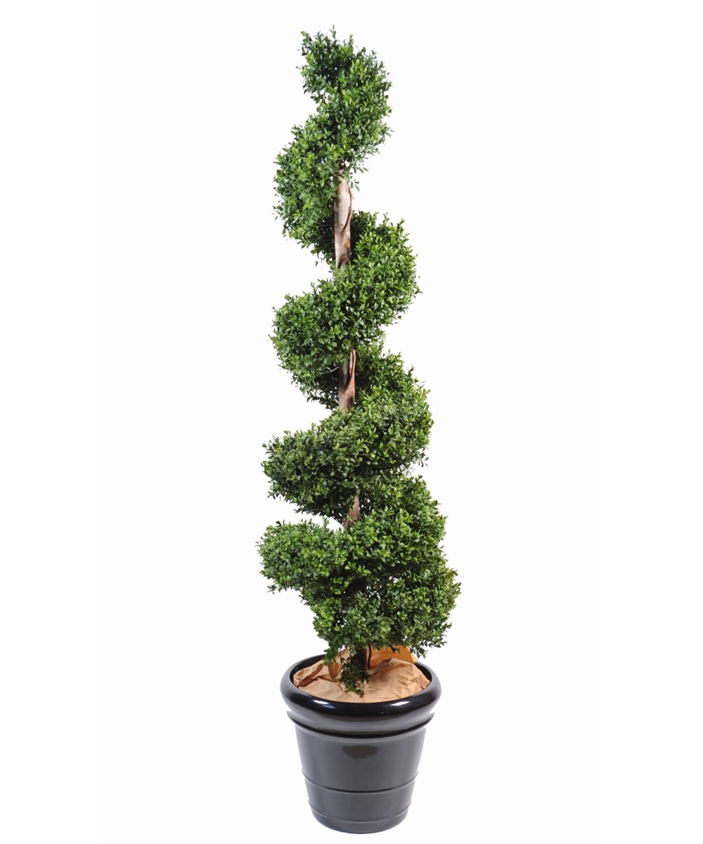 Artificial boxwood SPIRAL NEW