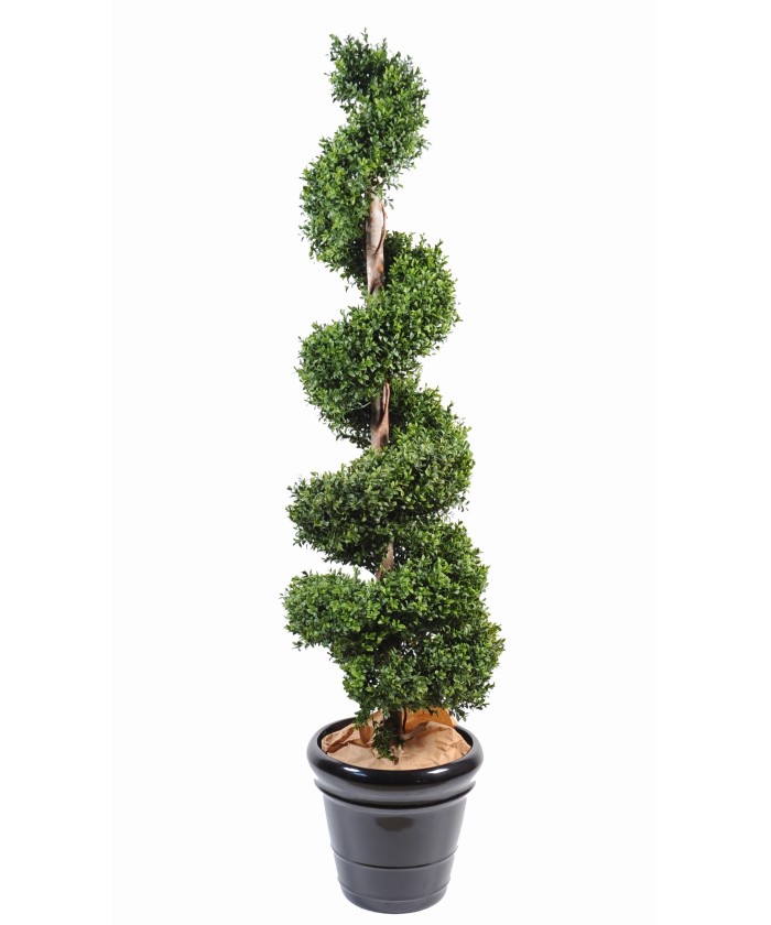 Artificial boxwood SPIRAL NEW
