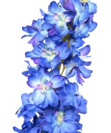 Artificial Delphinium