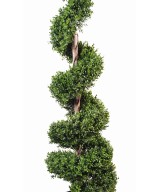 Artificial boxwood SPIRAL NEW