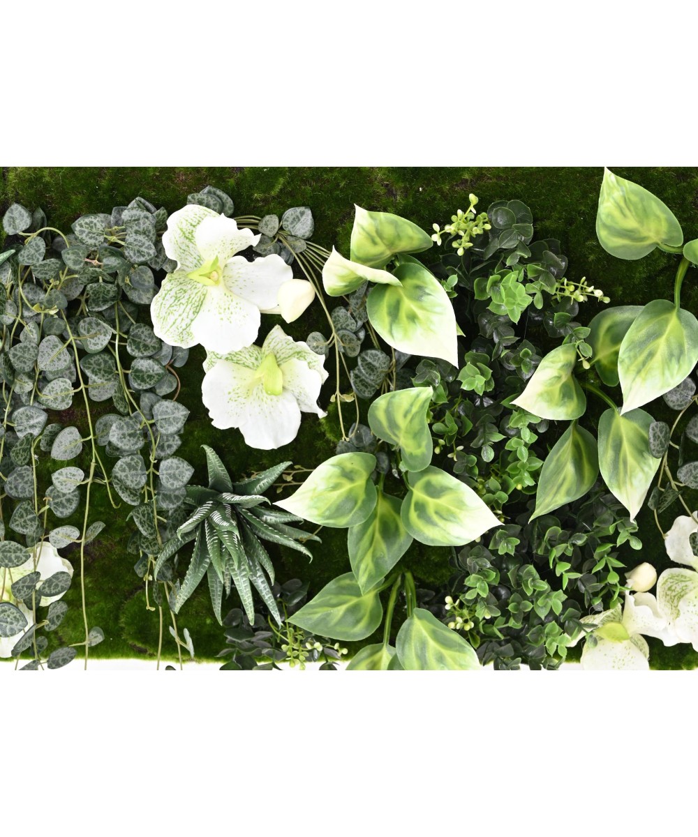 Kunstlik VANDA SEIN