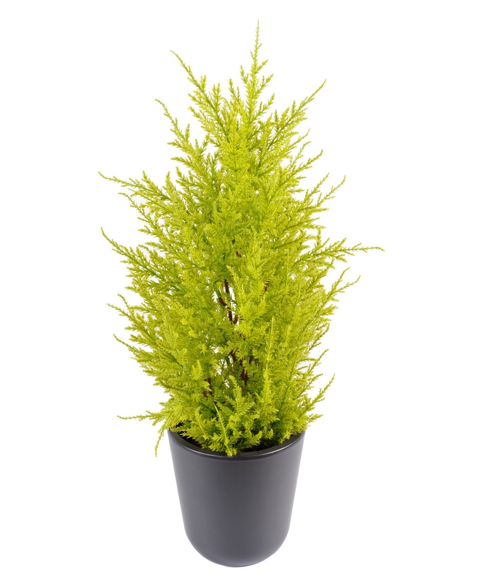 Artificial Juniperus (cupressus macrocarpa gold)
