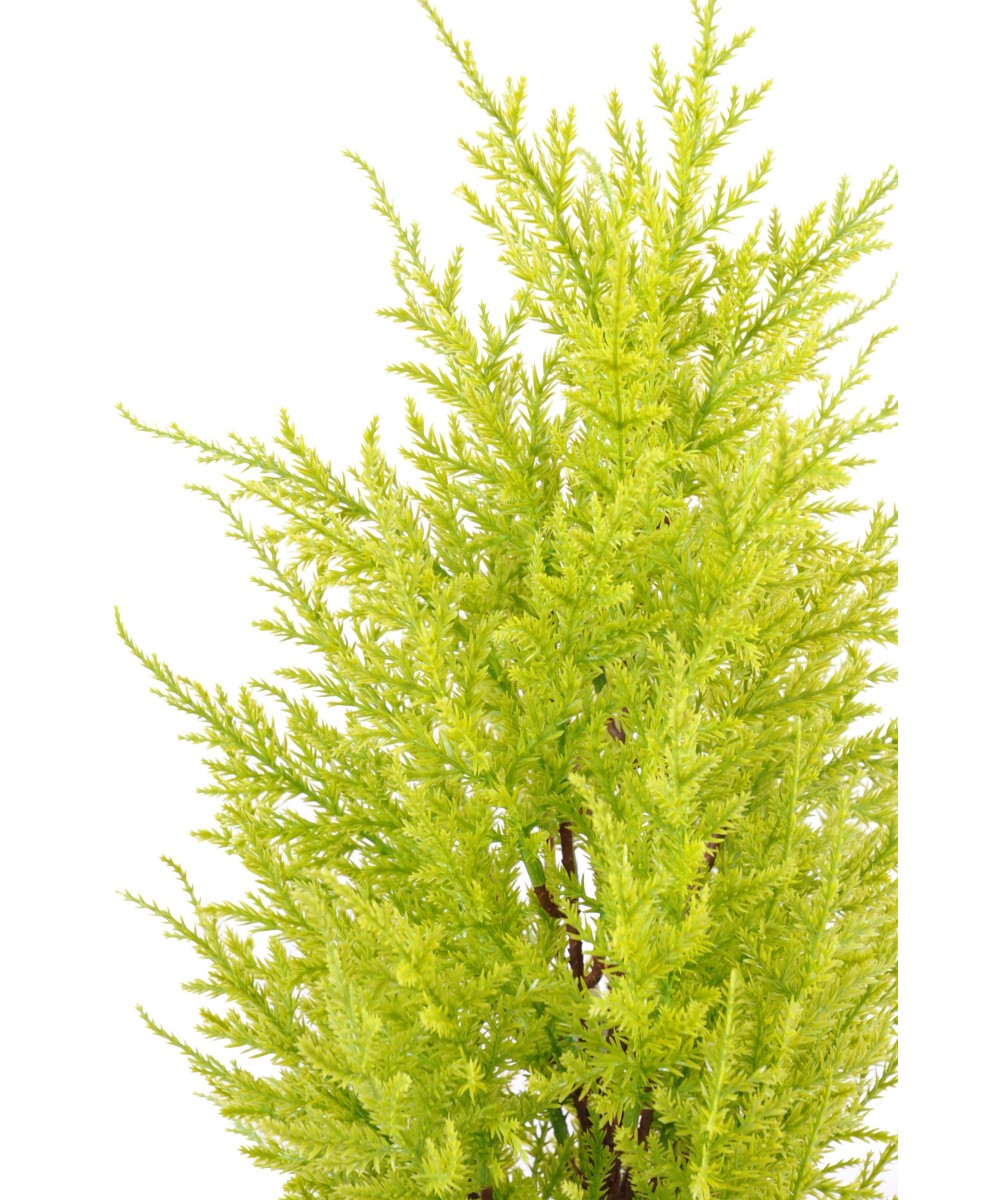 Artificial Juniperus (cupressus macrocarpa gold)