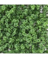 Artificial Green wall panel M 50*50