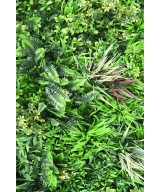 Artificial Green wall panel O 100*100
