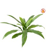 Artificial Asplenium *15 FR - Fire Resistant