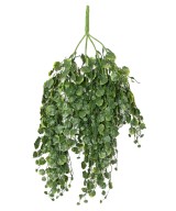 Artificial CAMPANULA